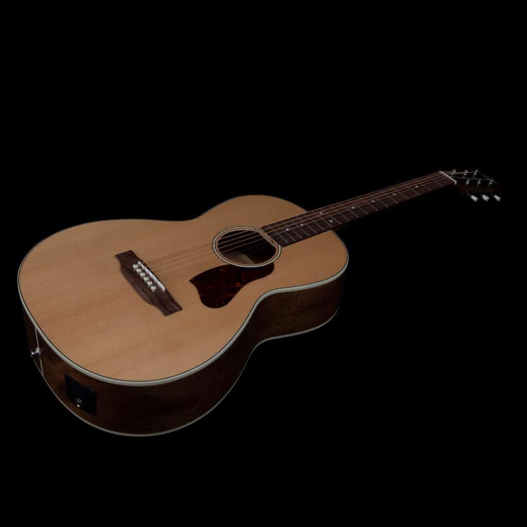 Amazon | Art & Lutherie (アートアンドルシアー) エレアコ